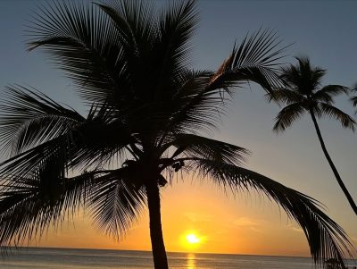 Catalonia Bayahibe в январе — фото погоды (2026-01-12)