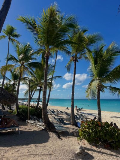 Catalonia Bayahibe в июне — фото погоды (2026-06-07)