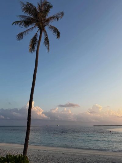 Hurawalhi Maldives в апреле — фото погоды (2026-04-12)