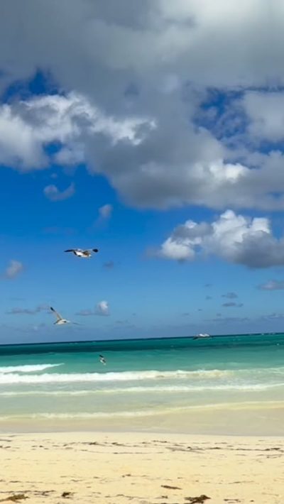 Melia Cayo Coco, Cuba в декабре — фото погоды (2025-12-16)