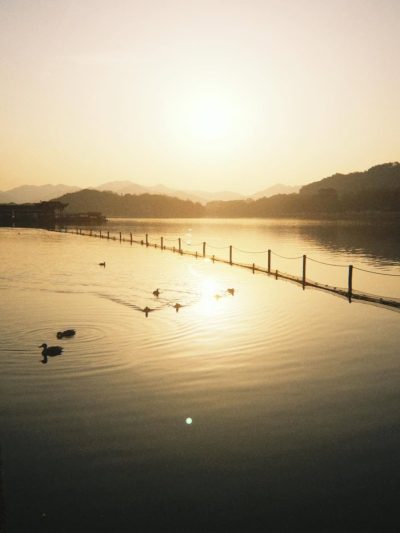 The WestLake（西子湖） в январе — фото погоды (2026-01-23)