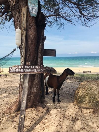 Pantai Penarik Setiu в июле — фото погоды (2026-07-19)