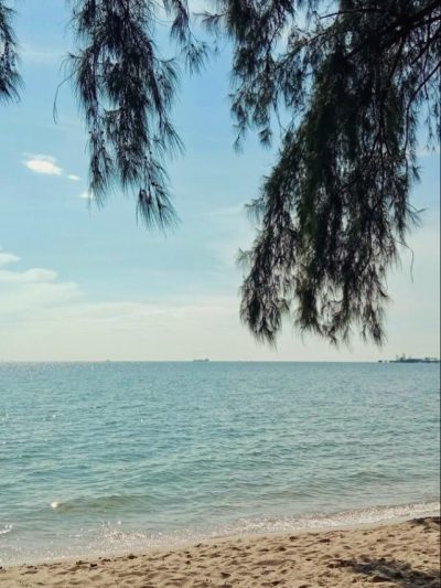 Pantai Penarik Setiu в июле — фото погоды (2026-07-19)
