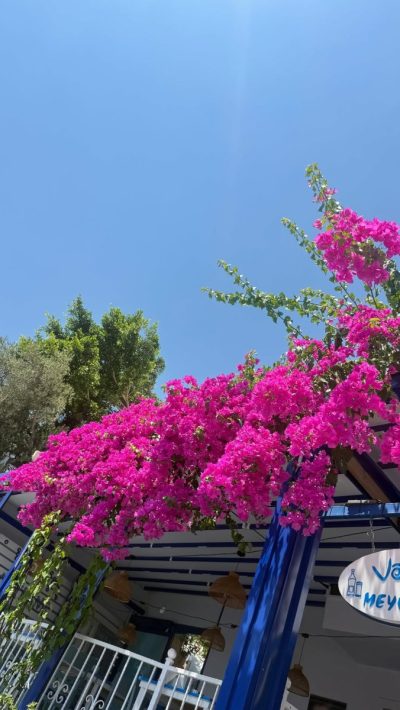 Antalya Kemer в июле — фото погоды (2026-07-17)