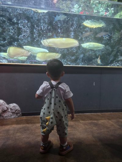 DMMかりゆし水族館-DMM Kariyushi Aquarium в мае — фото погоды (2026-05-04)