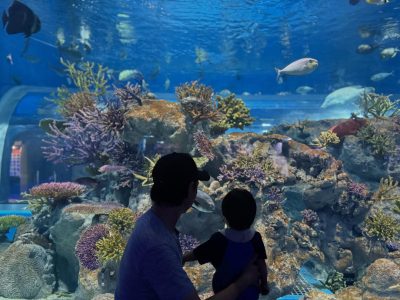 DMMかりゆし水族館-DMM Kariyushi Aquarium в мае — фото погоды (2026-05-27)