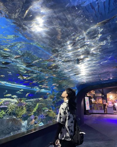 DMMかりゆし水族館-DMM Kariyushi Aquarium в июле — фото погоды (2026-07-10)