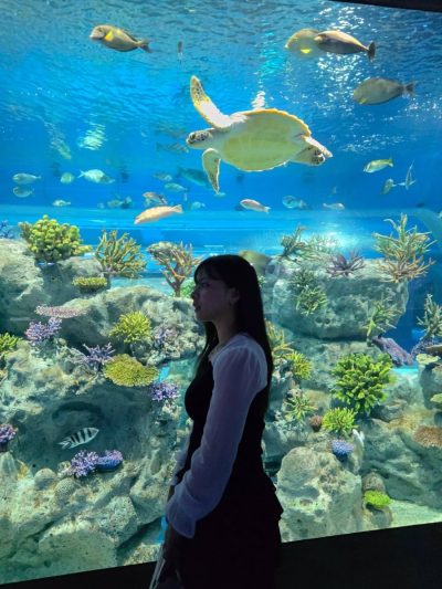 DMMかりゆし水族館-DMM Kariyushi Aquarium в июле — фото погоды (2026-07-15)