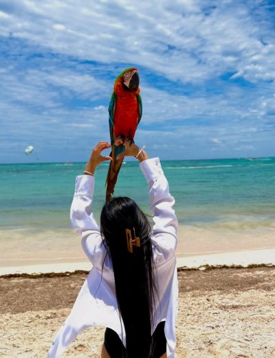 Paradisus Punta Cana в декабре — фото погоды (2025-12-10)