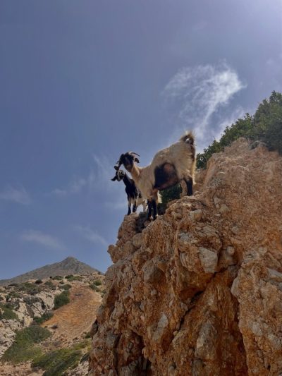 Knidos / Datça в декабре — фото погоды (2025-12-31)