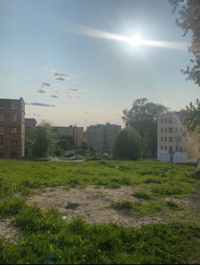 Кондопожский район в июле — фото погоды (2025-07-22)