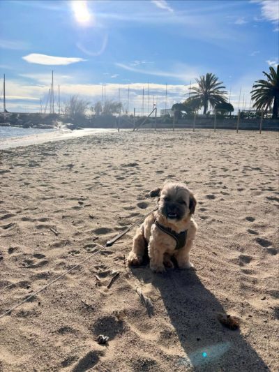 Sanremo Spiaggia Baia Greca в декабре — фото погоды (2025-12-25)