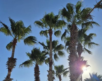 Hammamet (Tunesien) в июне — фото погоды (2026-06-22)