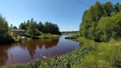 Приозерск в августе — фото погоды (2025-08-30)