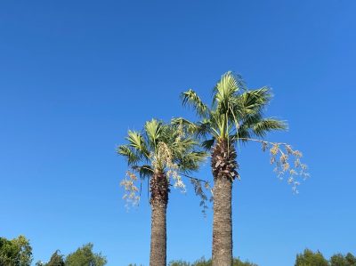 Rhodos Faliraki Beach в июле — фото погоды (2026-07-11)