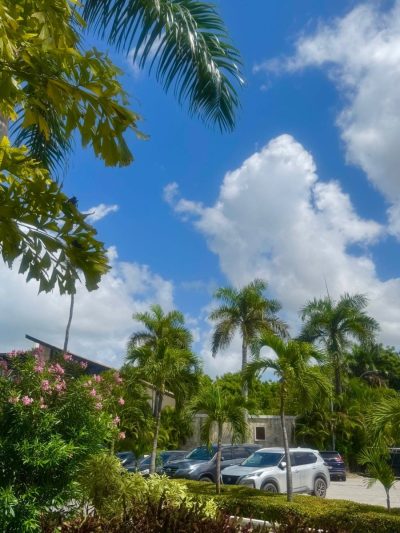 Grand Palladium Punta Cana Resort & Spa — фото погоды в июне (2026-06-17)