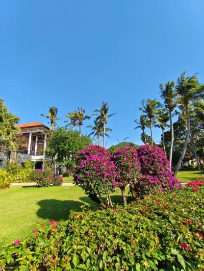 Banyan Tree Sanya, Hainan в январе — фото погоды (2026-01-03)
