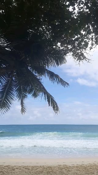 Banyan Tree, Seychelles в июле — фото погоды (2023-07-09)