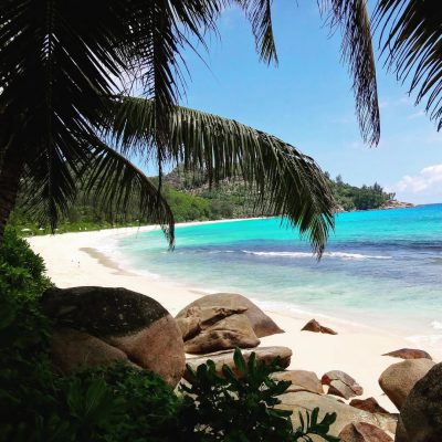 Banyan Tree, Seychelles в январе — фото погоды (2024-01-21)