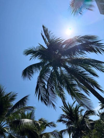 Vinpearl Bay Nha Trang Villa & Resort — фото погоды в марте (2026-03-26)