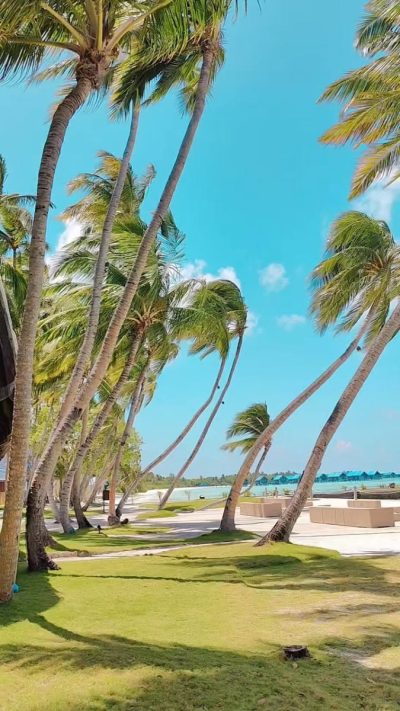 Shangri-La's Villingili Resort & Spa — фото погоды в ноябре (2025-11-10)