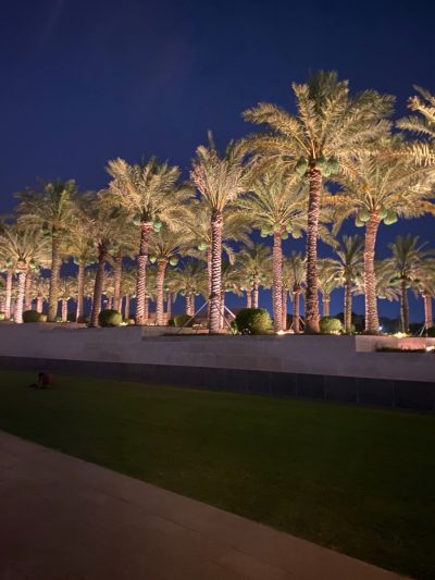 MIA Park Doha, Qatar в июне — фото погоды (2026-06-15)