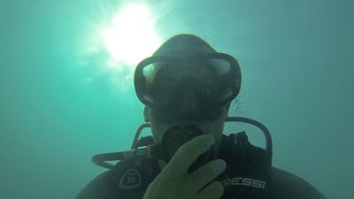 Diving & Excursions Viva Wyndham Dominicus Beach & Palace — фото погоды в декабре (2024-12-01)