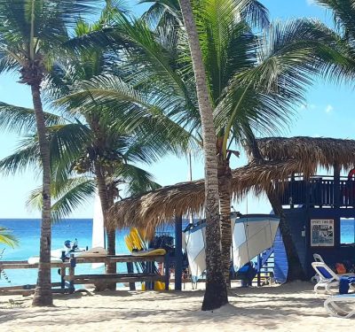 Diving & Excursions Viva Wyndham Dominicus Beach & Palace — фото погоды в апреле (2025-04-30)