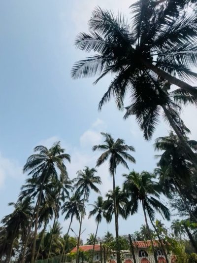 Goa Beach!! в марте — фото погоды (2026-03-17)
