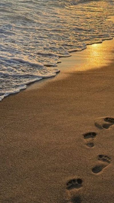 Galgibaga Beach Goa в мае — фото погоды (2026-05-20)