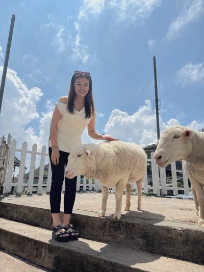 The Sheep Sanctuary в марте — фото погоды (2026-03-22)