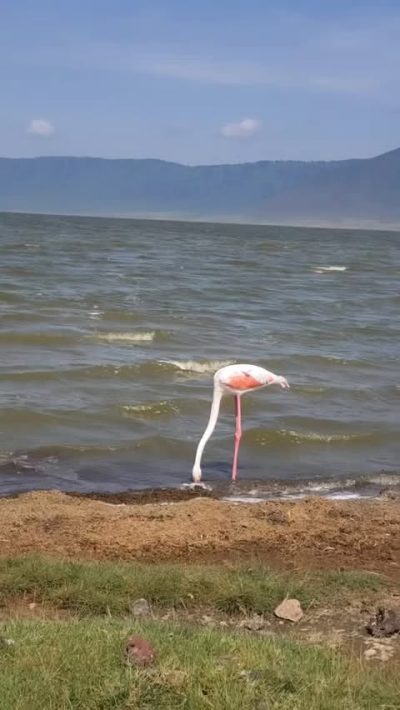 Ngorongoro Crater Lodge в июне — фото погоды (2025-06-25)