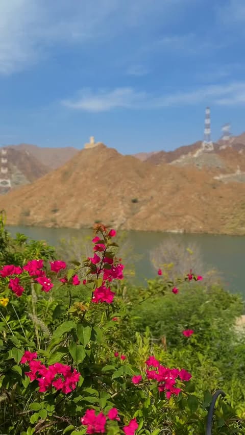 Погода в Ar Rufaysah Dam - Khor Fakkan