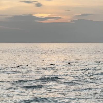 Kaafu Atoll в декабре — фото погоды (2025-12-10)