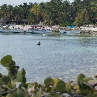 Tsuuk Akumal - Parque Natural в феврале — фото погоды (2026-02-06)