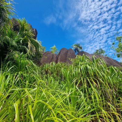 Parc national du Morne Seychellois в июле — фото погоды (2024-07-30)