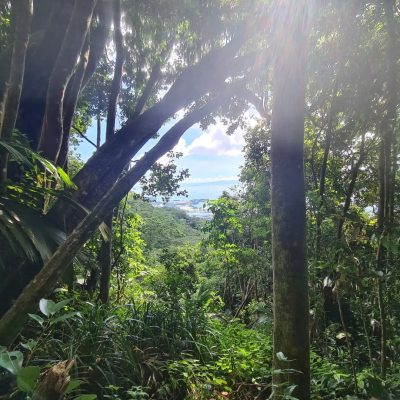 Parc national du Morne Seychellois в августе — фото погоды (2024-08-22)