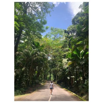 Parc national du Morne Seychellois в сентябре — фото погоды (2024-09-09)