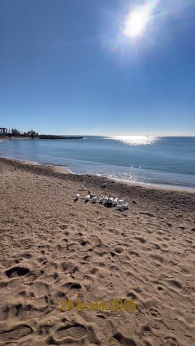 Omi Beach в декабре — фото погоды (2025-12-28)