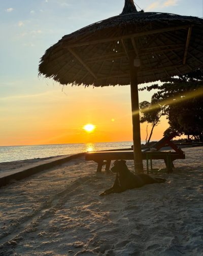 Koh Phangan в июле — фото погоды (2026-07-03)