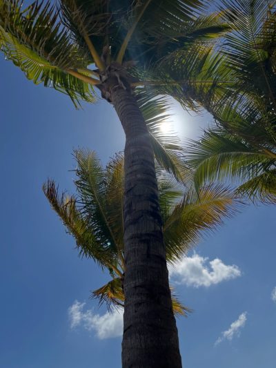 Playa del carmen (Cancun) в феврале — фото погоды (2026-02-25)