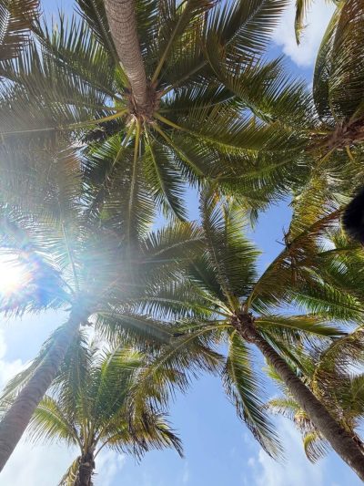 Playa del carmen (Cancun) в июле — фото погоды (2026-07-10)