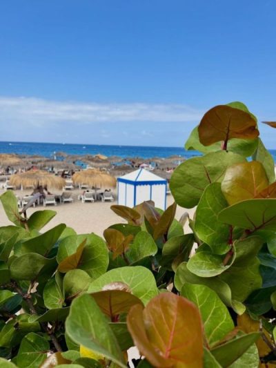 Playa del Duque в июле — фото погоды (2026-07-15)