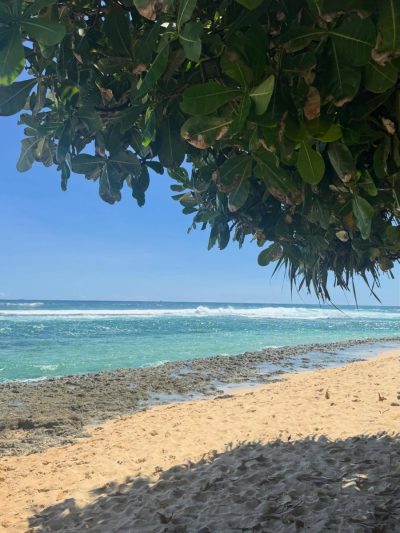 Thalpe Beach, Sri Lanka в апреле — фото погоды (2026-04-30)