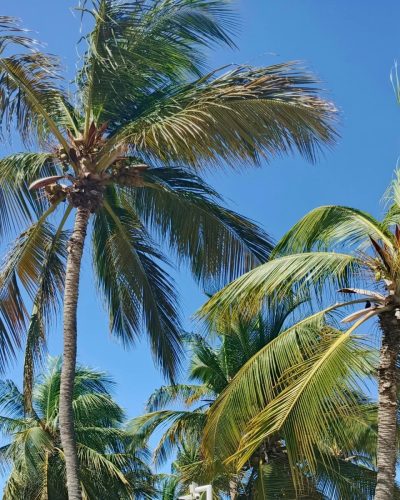 Playa El Yaque Margarita Venezuela в марте — фото погоды (2025-03-26)