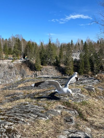 Водопады Ахинкоски в мае — фото погоды (2026-05-21)