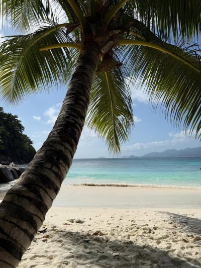 Petite Anse Beach, Anse Soleil в октябре — фото погоды (2025-10-11)