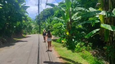 Petite Anse Beach, Anse Soleil в ноябре — фото погоды (2025-11-15)
