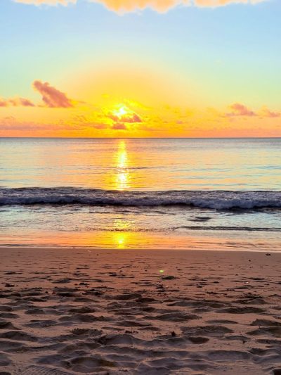 Виктория в ноябре — фото погоды (2025-11-16)
