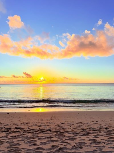 Petite Anse Beach, Anse Soleil в ноябре — фото погоды (2025-11-16)